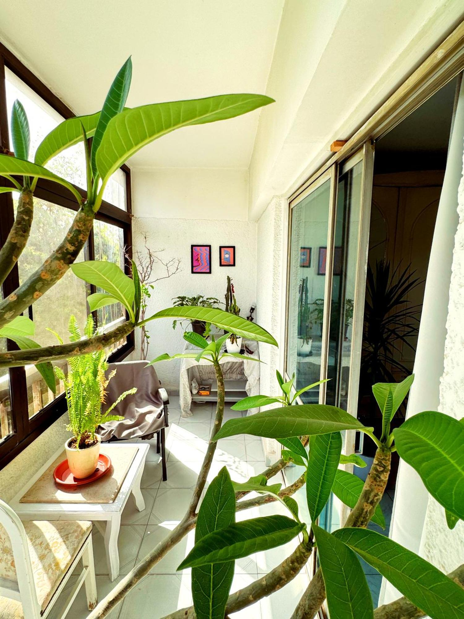 Large Room With Its Own Balcony Kairo Exteriör bild